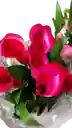 Planta De Cartuchos