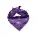 Pañoleta M Morada Murciélagos Y Telarañas