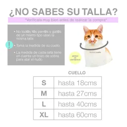 Pañoleta L Morada Murciélagos Y Telarañas