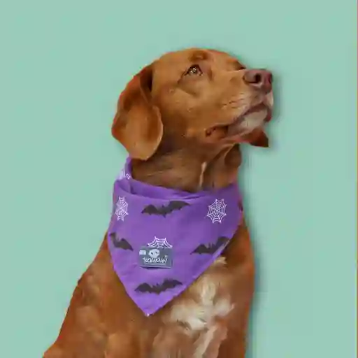 Pañoleta Xl Morada Murciélagos Y Telarañas