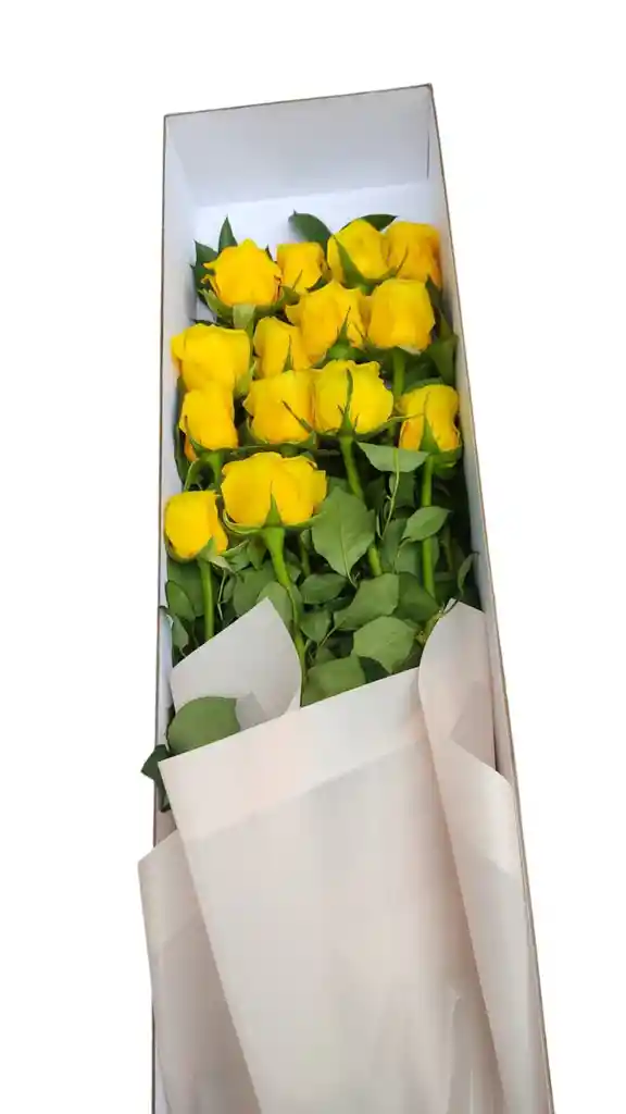Caja De Rosas Amanecer
