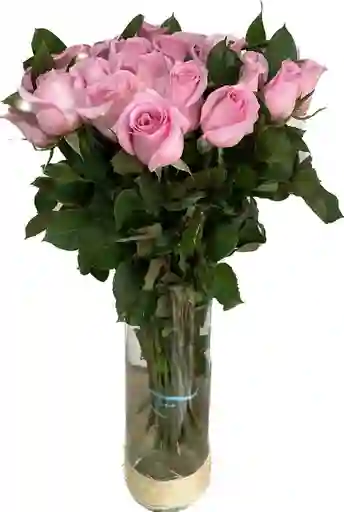 Pink Rose