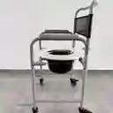 Silla Sanitaria En Acero Economica