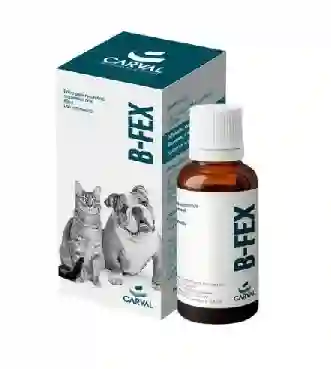 B-fex Susp Fco. X 60ml (cefalexina Suspen)