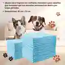 Tapete Absorbente Para Mascota Pqt X 25 (perro/gato)