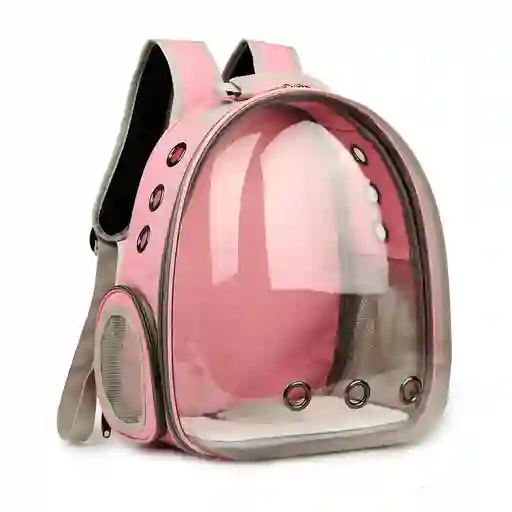 Morral Transparente De Lona Rosado
