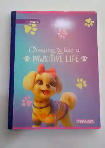 Cuaderno Cosido 100 Hojas Economico De Stikers