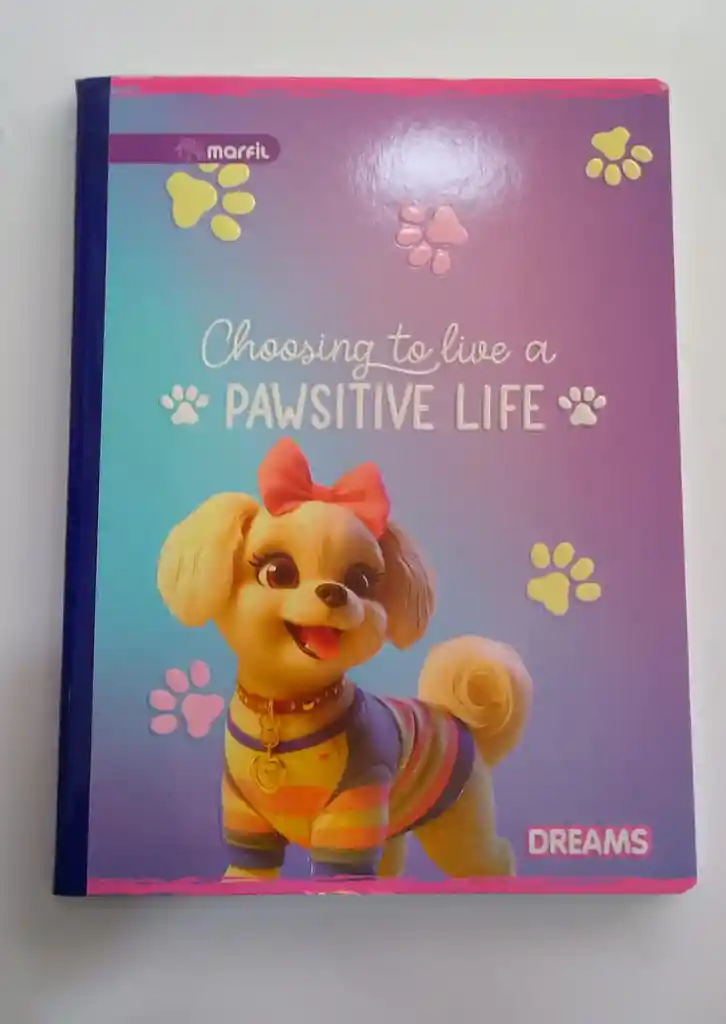 Cuaderno Cosido 100 Hojas Economico De Stikers