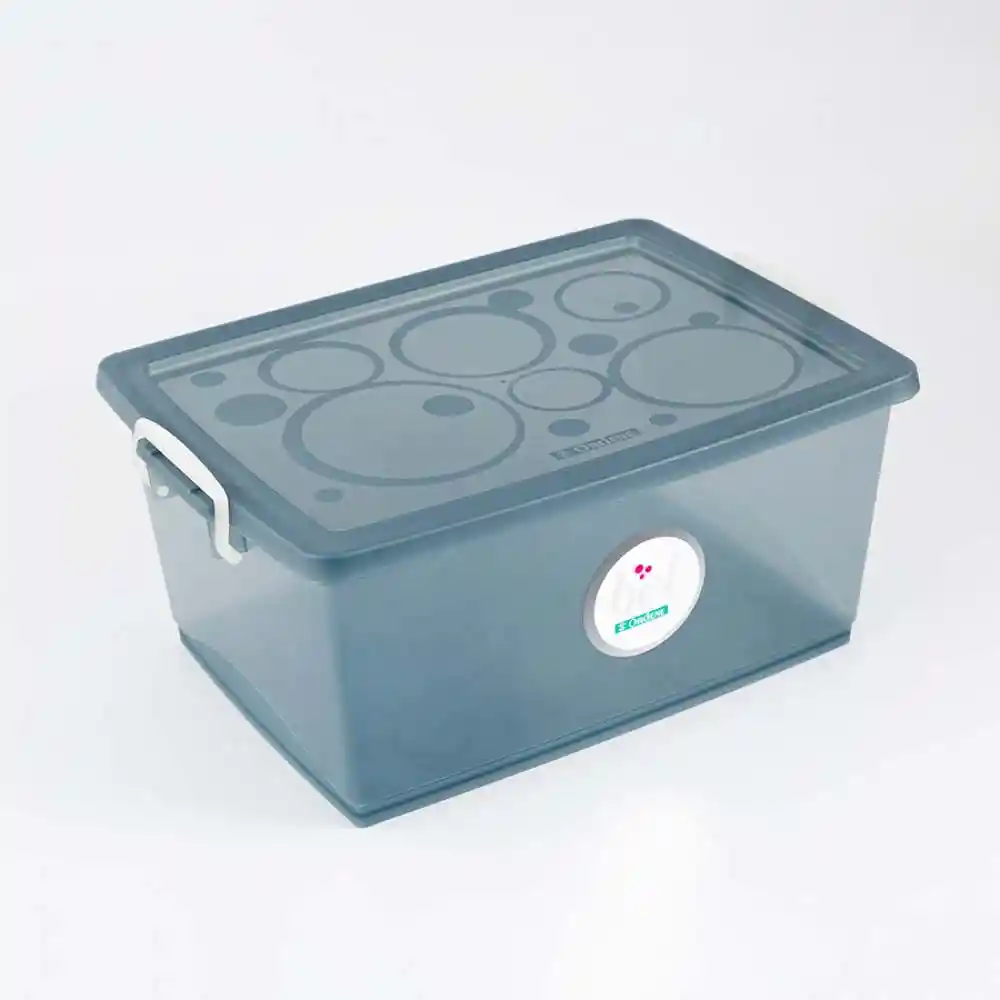 Canasta Ordene My Closet 19x29x40cm Plastico