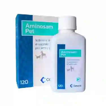 Aminosam Pet Suspensión Oral Fco. X 120ml