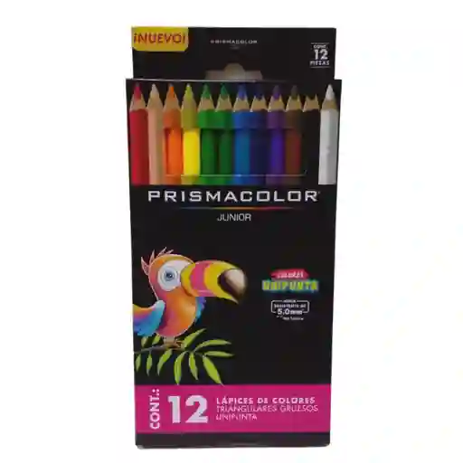 Colores Jumbo X 12
