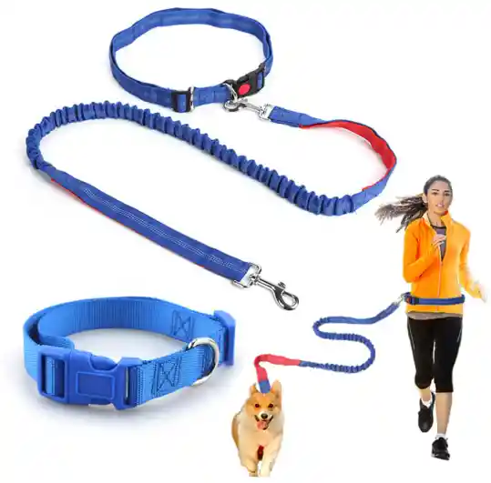 Correa Color Azul Arnes Manos Libres Ajustable Para Pasear Con Tu Mascota
