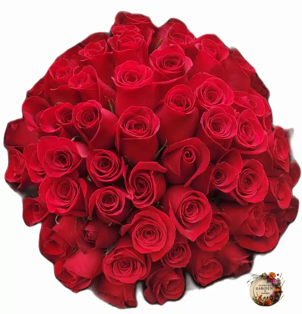 65 Rosas Rojas Un Amor Eterno