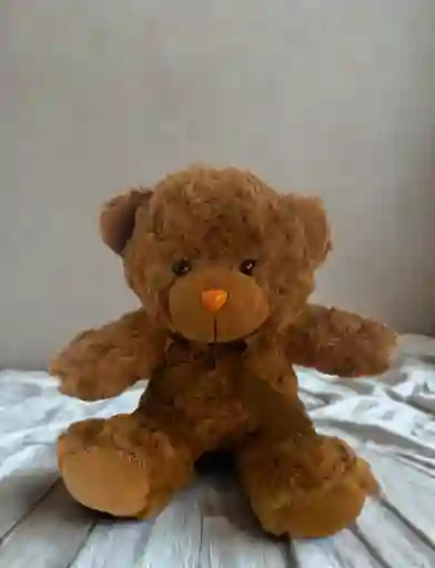 Peluche De Oso Clasico