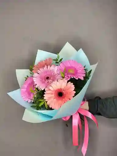“gerberas En Rosa”