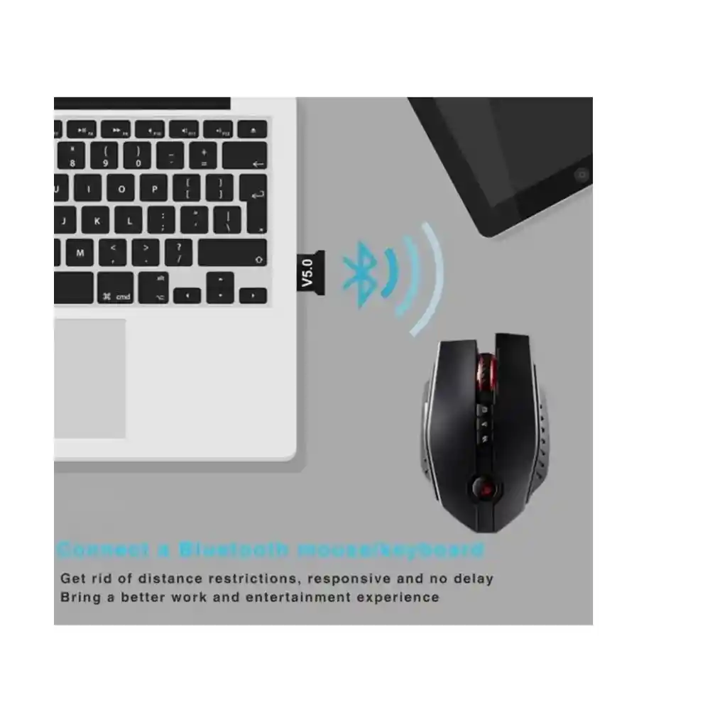 Bluetooth Mini Usb 5.0 Transmisor Receptor Inalambrico Dongle