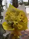 Margaritas