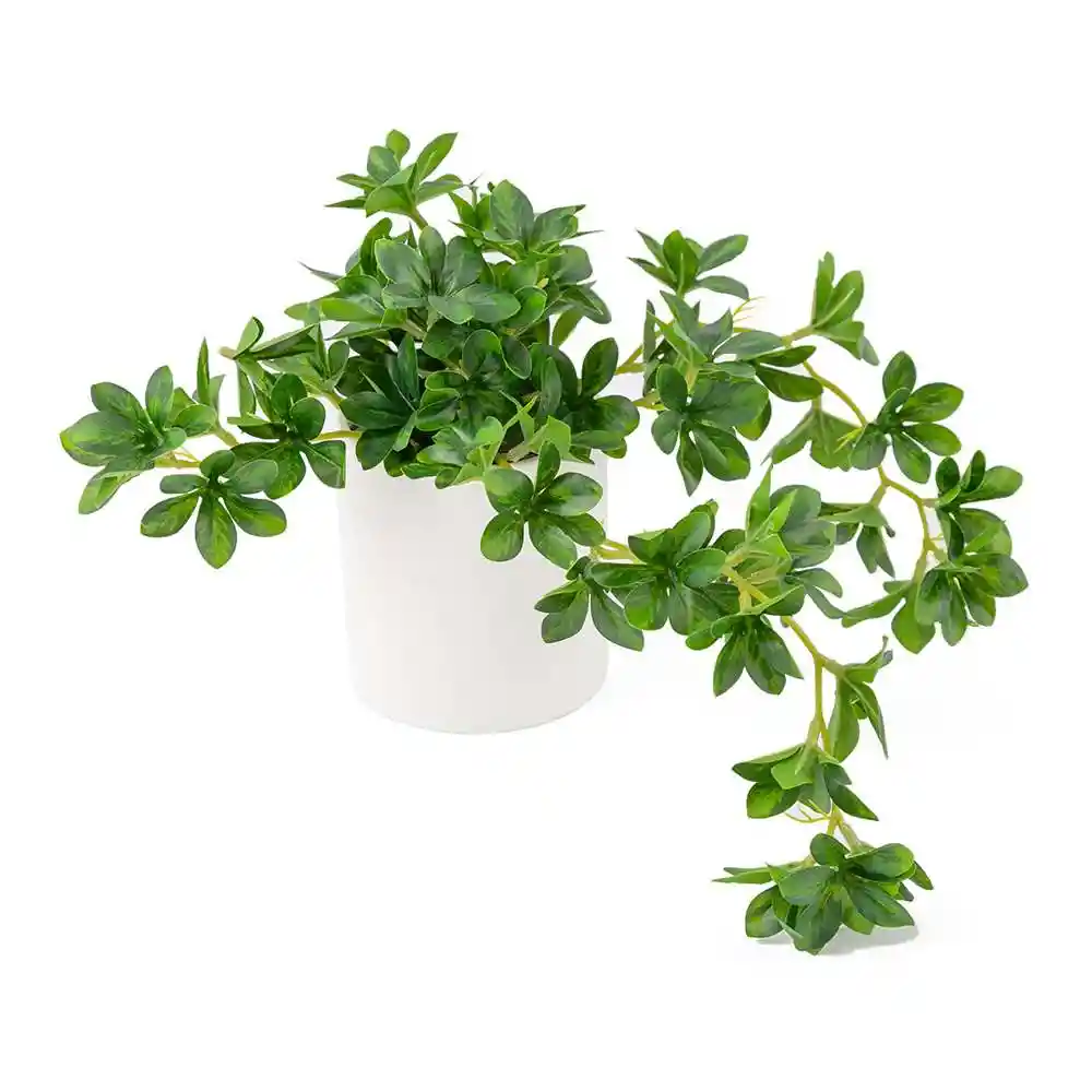 Planta Artificial Expressions 20x35cm Verde