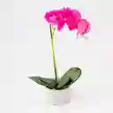 Planta Artificial Expressions 15x45cm Lila