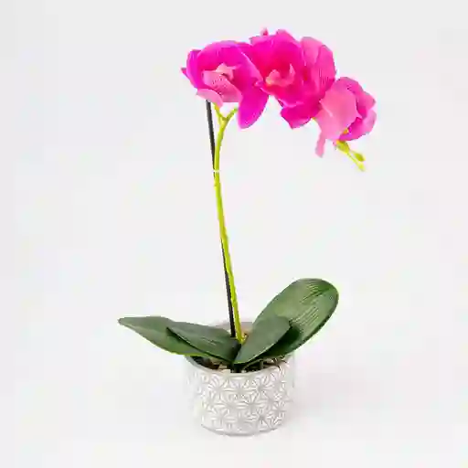 Planta Artificial Expressions 15x45cm Lila