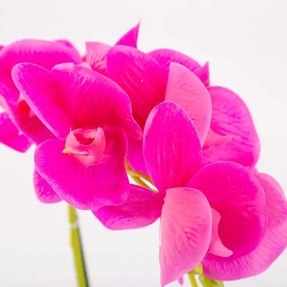Planta Artificial Expressions 15x45cm Lila