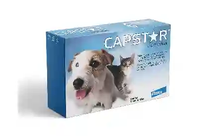 Capstar De 11.4 Mg De 1 - 11 Kg X 6tb
