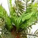 Palmera Artificial En Matera 30cm