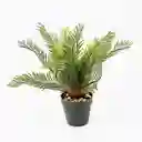 Palmera Artificial En Matera 30cm