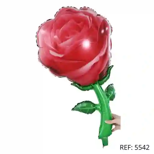 Globo Figura Rosa