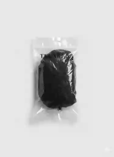 Hallo Telaraña Negra Pequeña