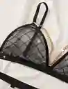 Set Alice (s)