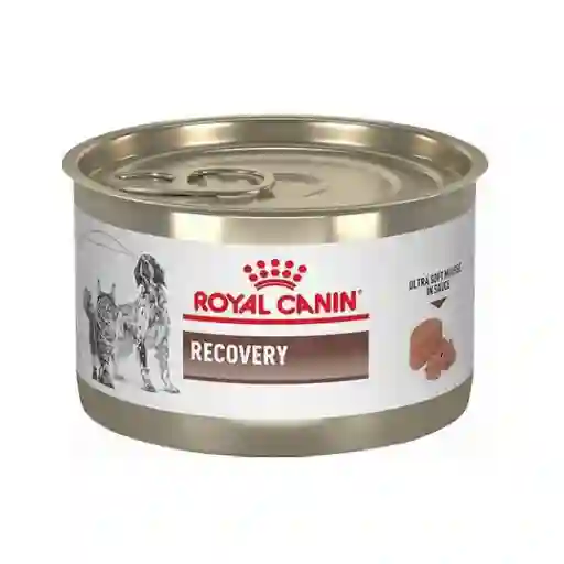 Lata Royal Canin Recovery 145 Gr