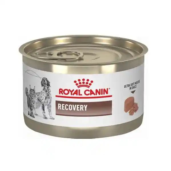 Lata Royal Canin Recovery 145 Gr