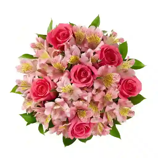 Flores Lady Roses