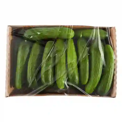 Pepino Europeo 1.36 Kg