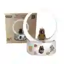 Lámpara Y Parlante Cafe Bluetooth Para Niños Y Niñas