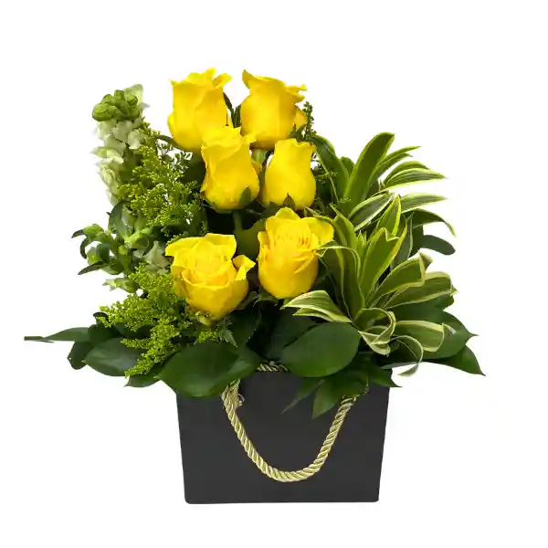 Caja Sonrisa Amarilla