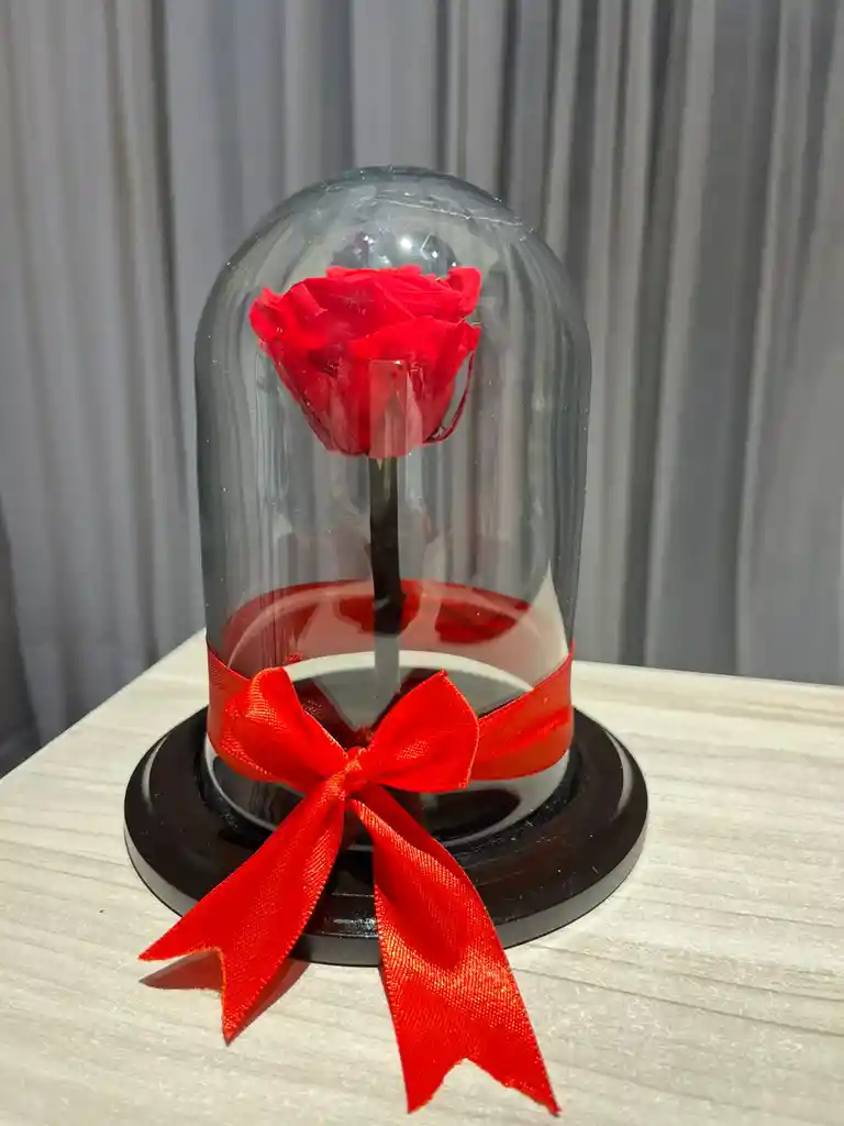 Rosa En Cúpula Xs
