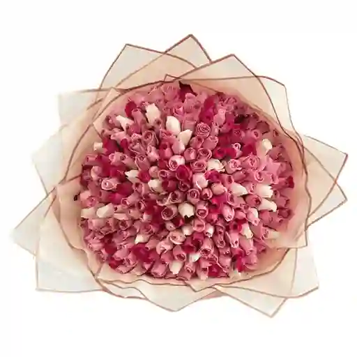 Bouquet De 200 Rosas