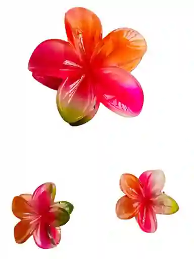 Set De 3 Pinzas Tipo Gancho Para El Cabello Hawaianos Ref 2