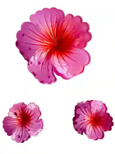 Set De 3 Pinzas Tipo Gancho Para El Cabello Cayena Ref 1