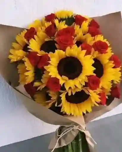 Girasoless 12 Y Rosas