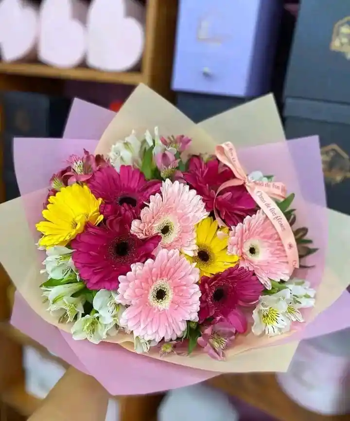 Gerberas 10