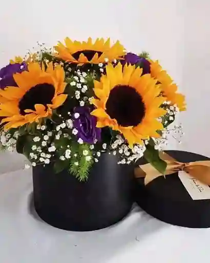Cilindro Girasoles