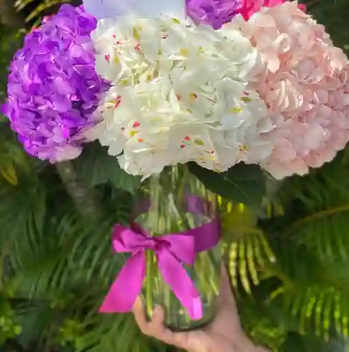 Hortensias Y Jarron