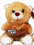 Osito 7 - Peluche - 20 Cm.