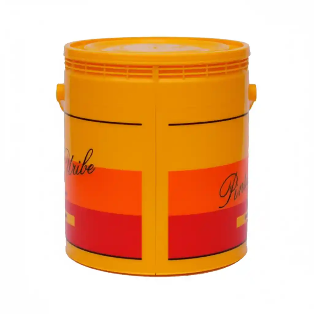 Pintura Blanca Tipo 1