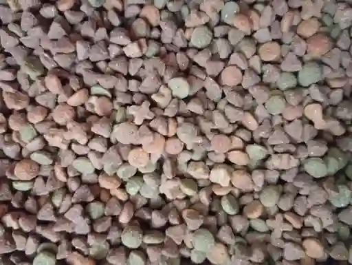 Pedigree Adulto Raza Pequeña A Granel