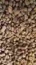 Dog Chow Adulto Raza Pequeña Y Mini
