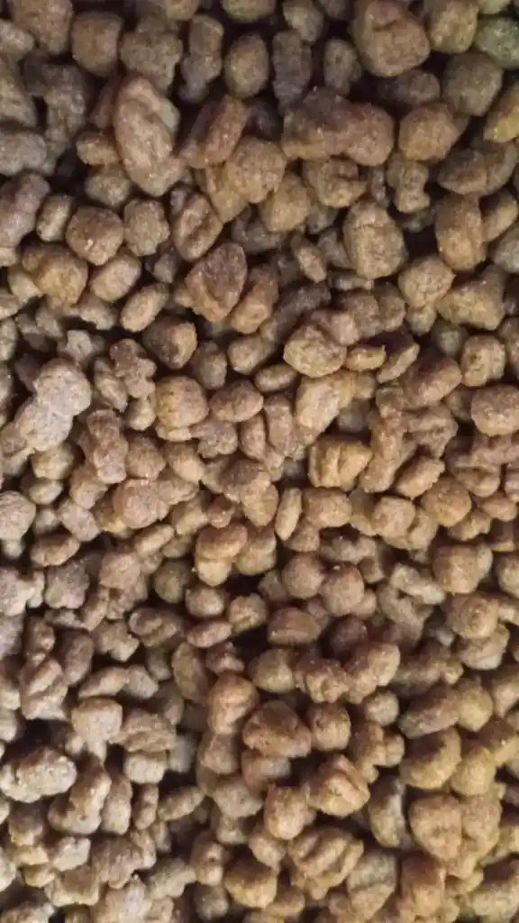 Dog Chow Adulto Raza Pequeña Y Mini